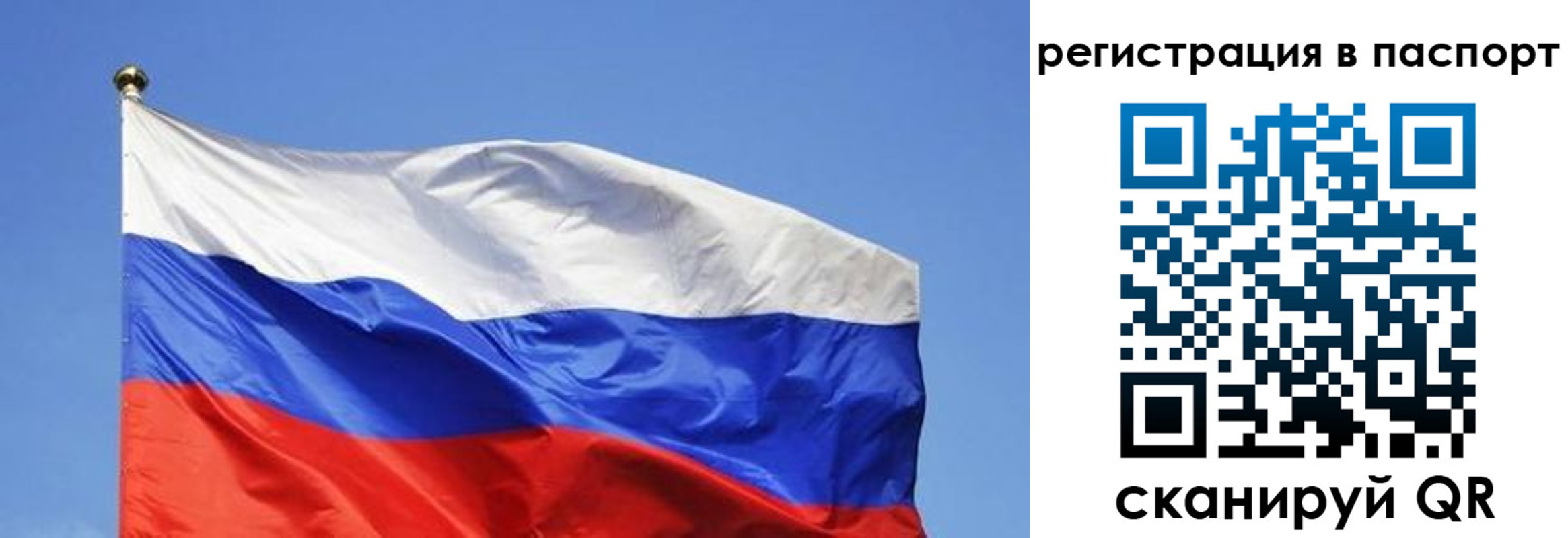 прописка в квартире в Новодвинске